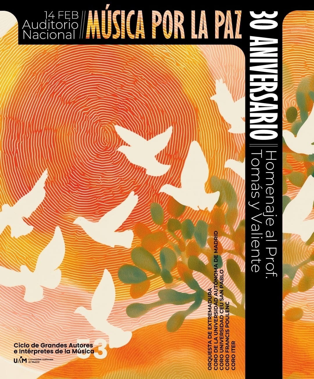 WhatsApp Image 2026-02-08 at 19.02.06